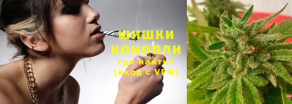 молекула духа Волоколамск