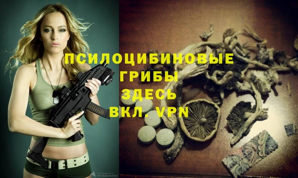 a pvp Верея