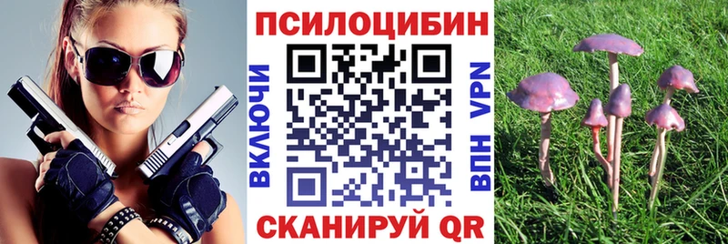 хочу   Ковдор  Псилоцибиновые грибы GOLDEN TEACHER 